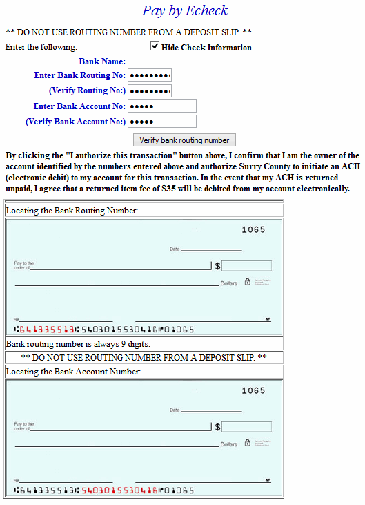Pay using electronic check
